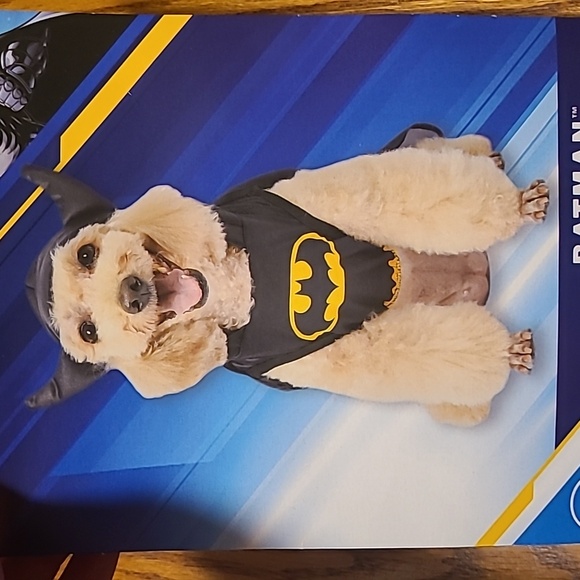 NIP Batman Dog Halloween Costume - Picture 10 of 10